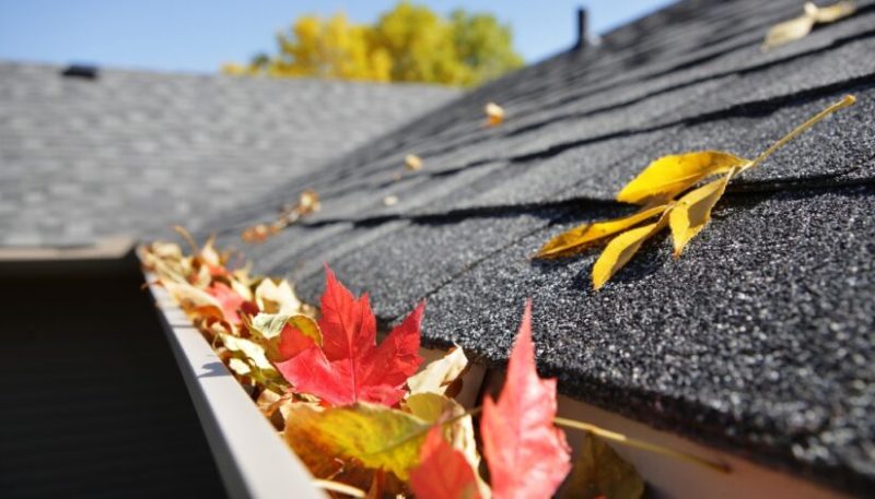 Seasonal Metal Roofing Tips — What to Check Each Season